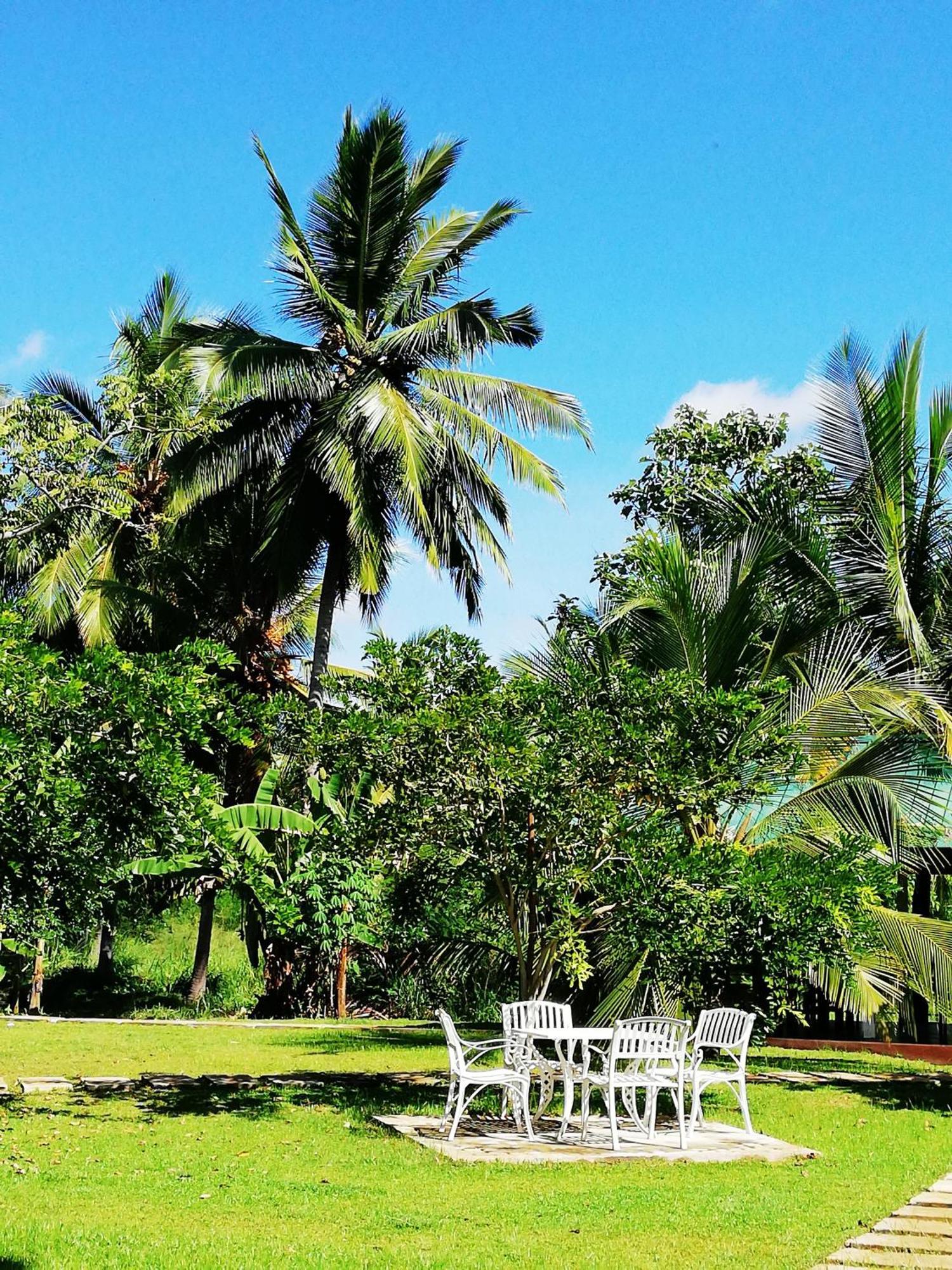 Rajarata Family Resort Анурадхапура Екстер'єр фото